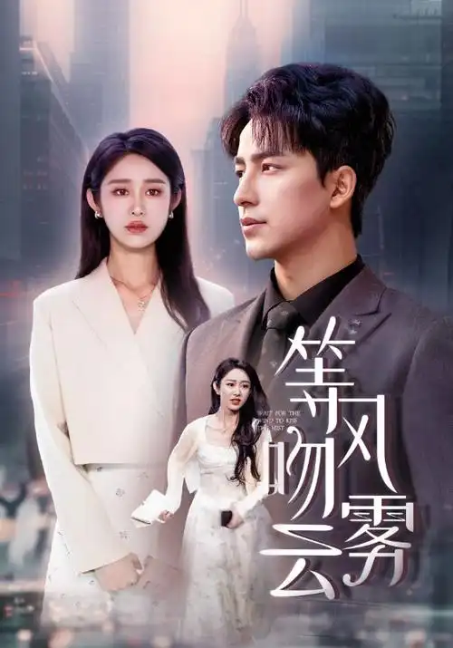 如懿传分集播放